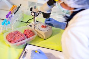 A food scientist wearing a lab coat and gloves uses a microscope to examine a sample of ground beef for quality control in a food processing plant.