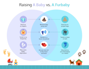 A Venn diagram comparing raising a baby and a furbaby, showing they both require a lot of care and attention but in different ways.